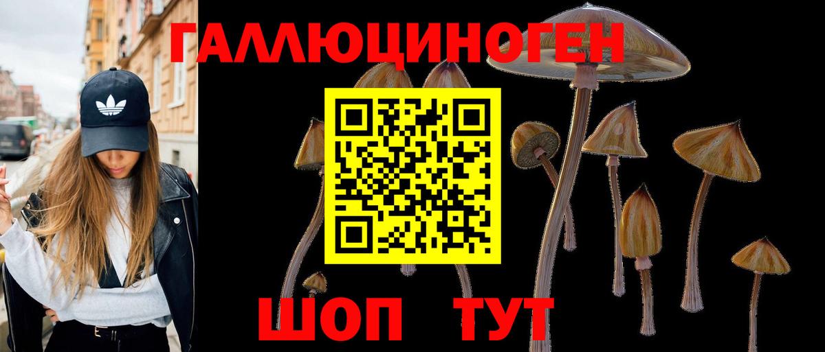 Дубна  Псилоцибиновые грибы GOLDEN TEACHER  Вход с VPN 
